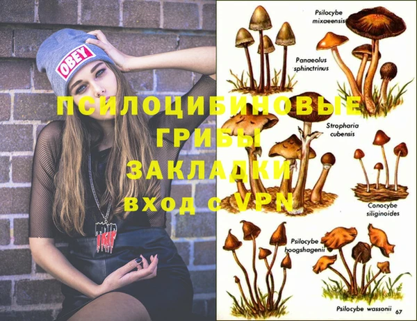 MESCALINE Арсеньев