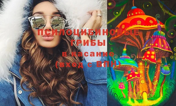 СК Аркадак
