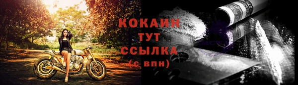 СК Аркадак